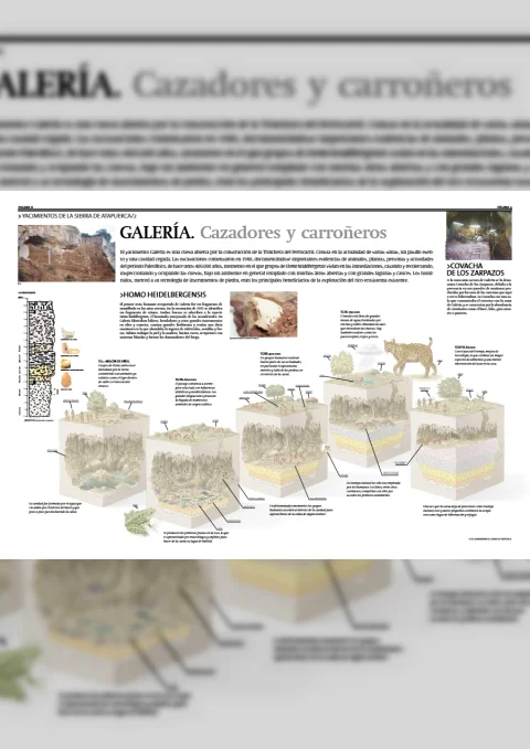 Cazadores y Carroñeros