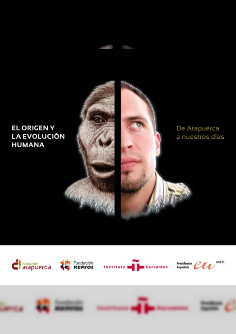 EL ORIGEN Y LA EVOLUCIÓN HUMANA