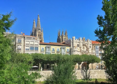 Vista general desde el río Arlanzón