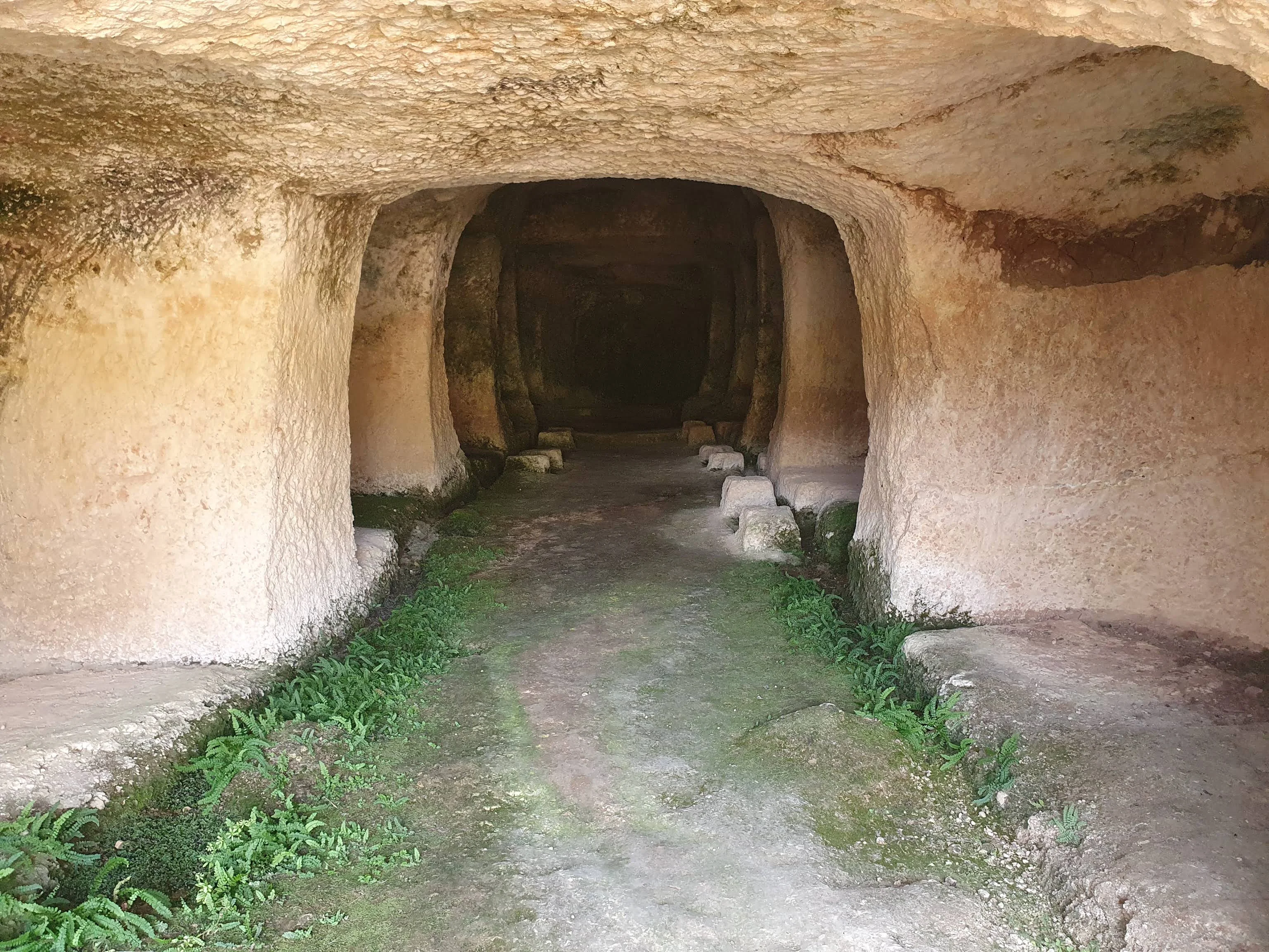 Bodegas de vino tradicionales