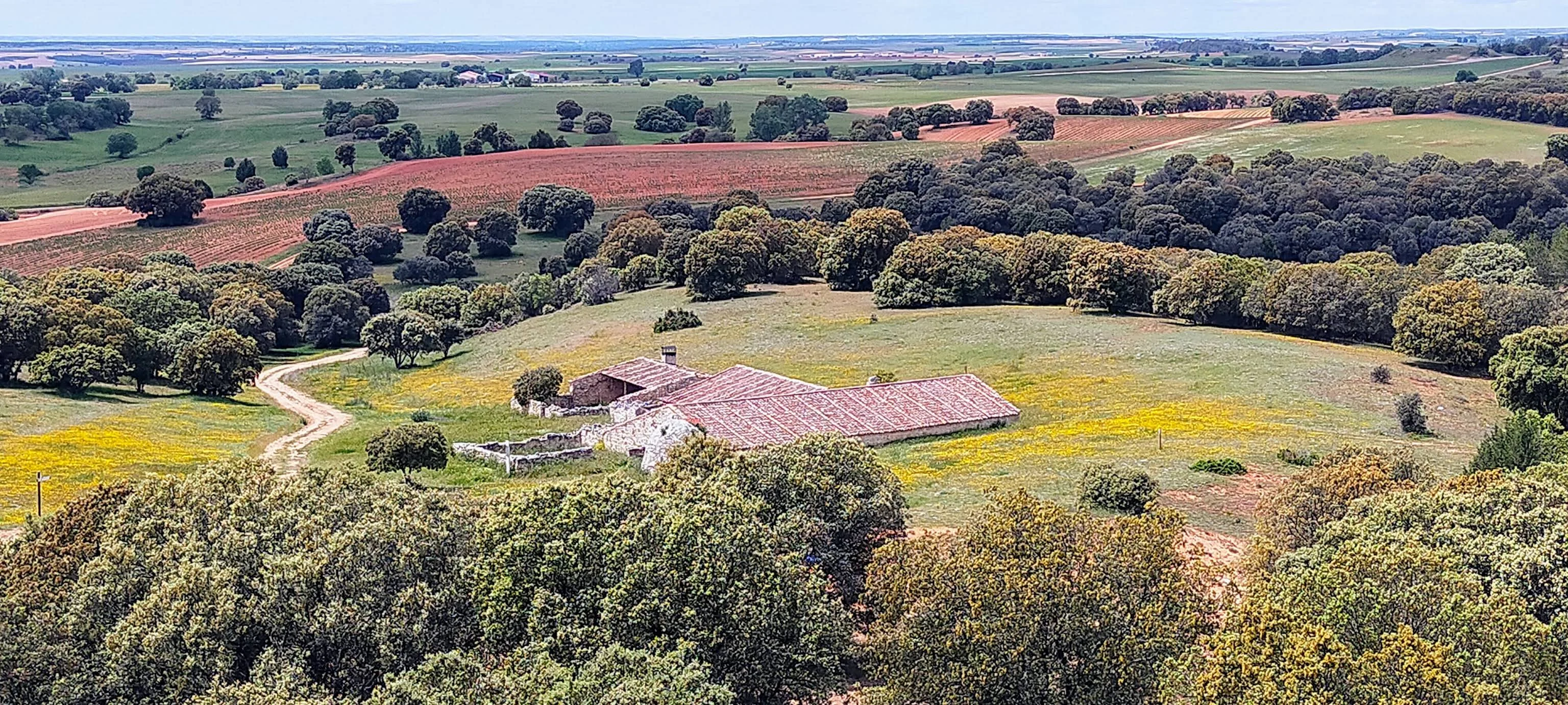 Mirador en Las Loberas