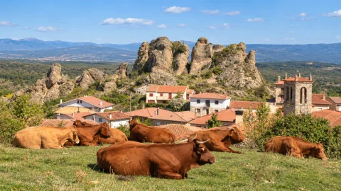 Pinilla de los Barruecos