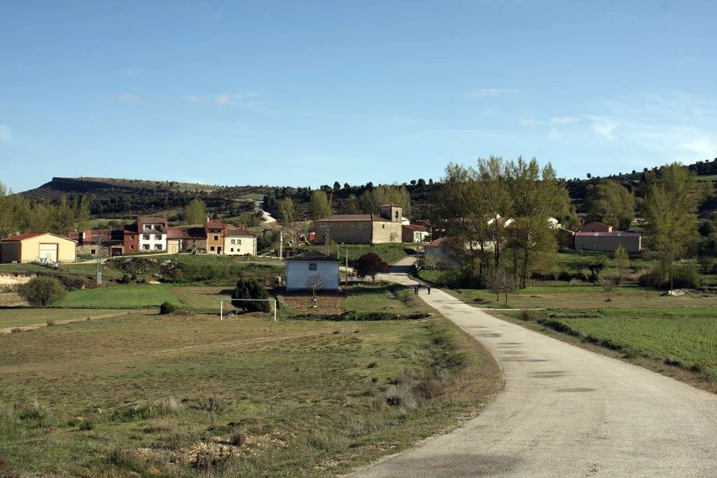 Carretera de acceso al pueblo de Hortezuelos entre campos verdes y arbolado