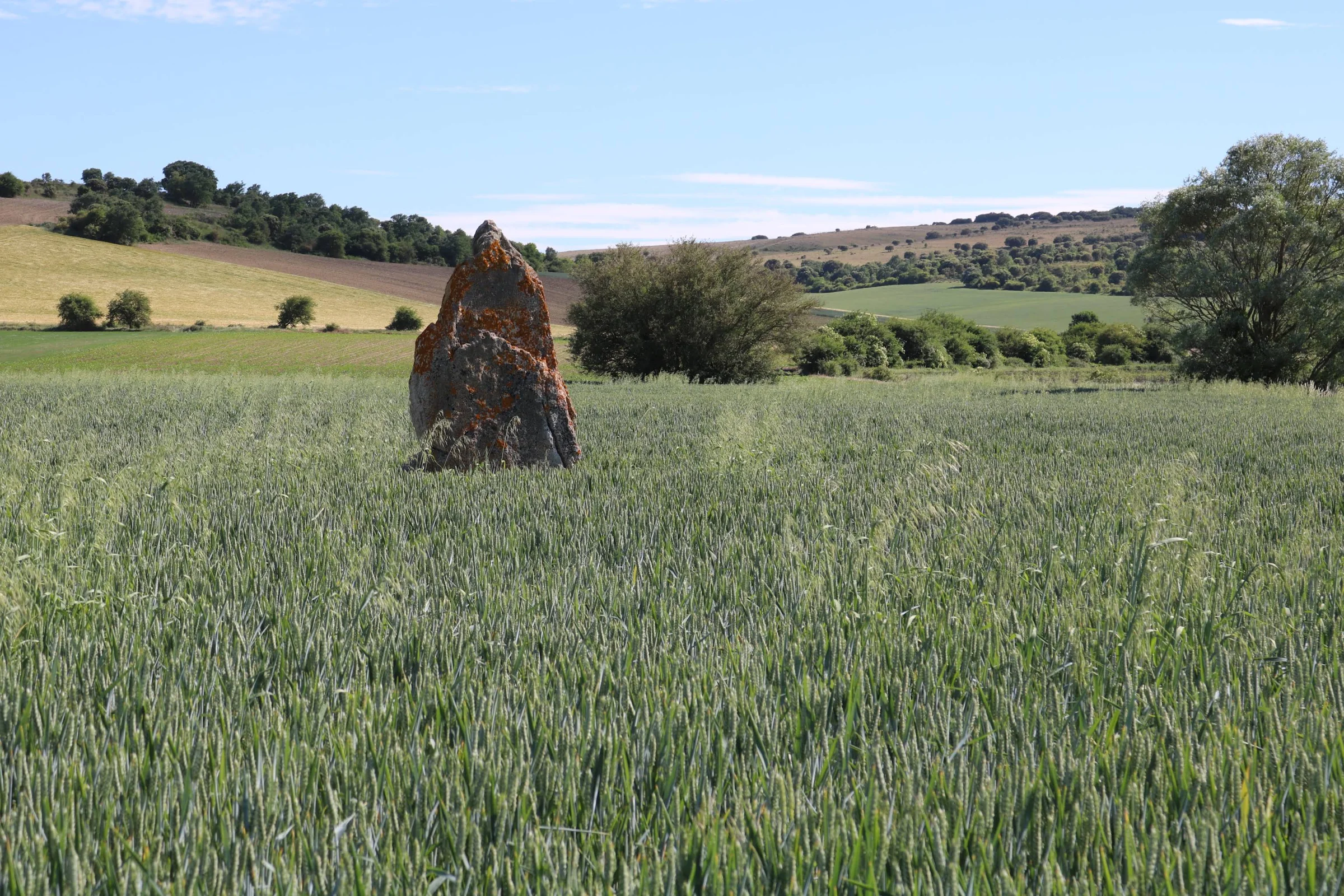Menhir de Fin de Rey