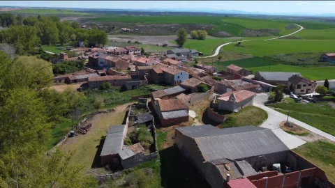 Pinedillo
