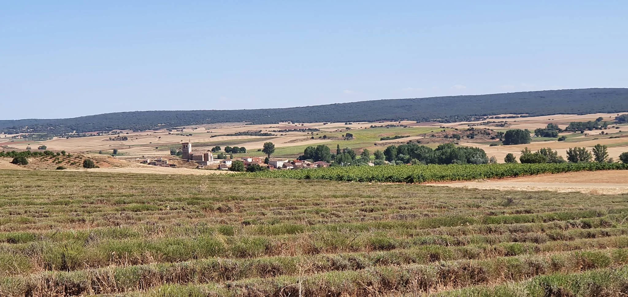 Vista panorámica de Revilla Cabriada de día