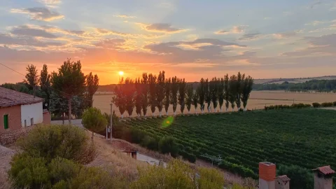 Ruyales del Agua
