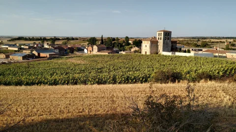Montuenga