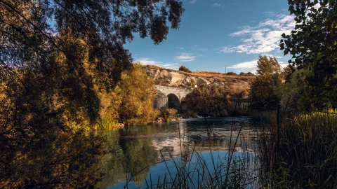 Peral de Arlanza