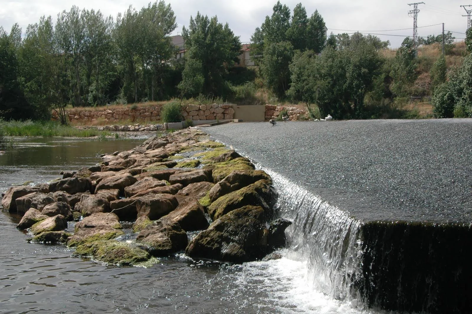 Azud del río Arlanzón en Puentedura