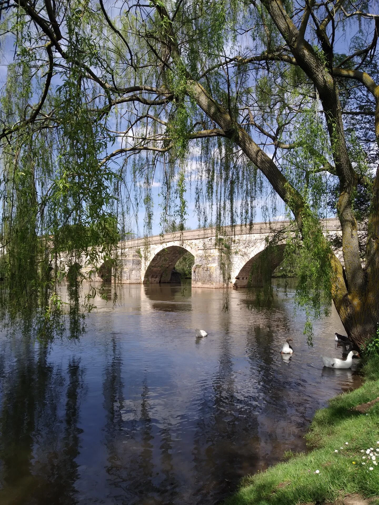 Puente romano desde la naturaleza