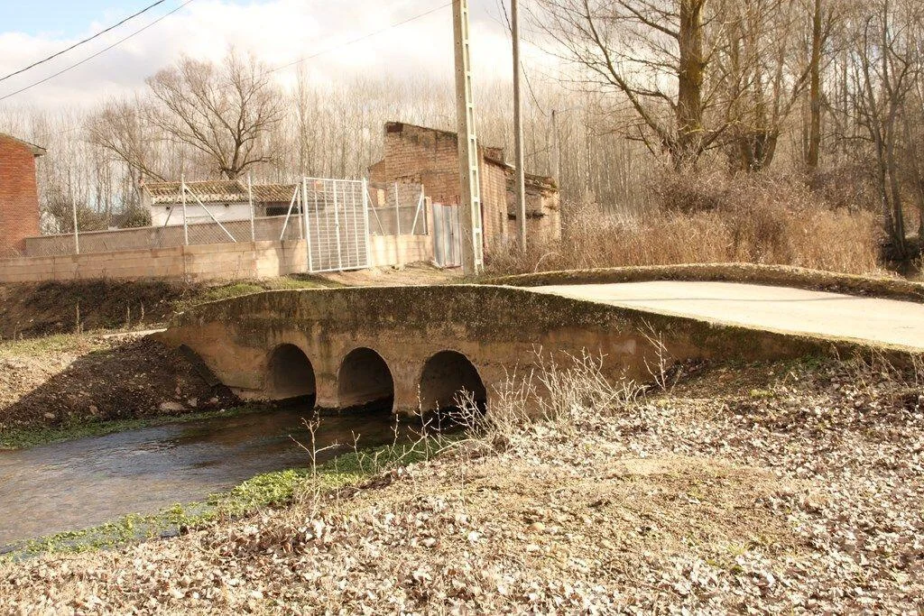 Puente de Royuela de Río Franco
