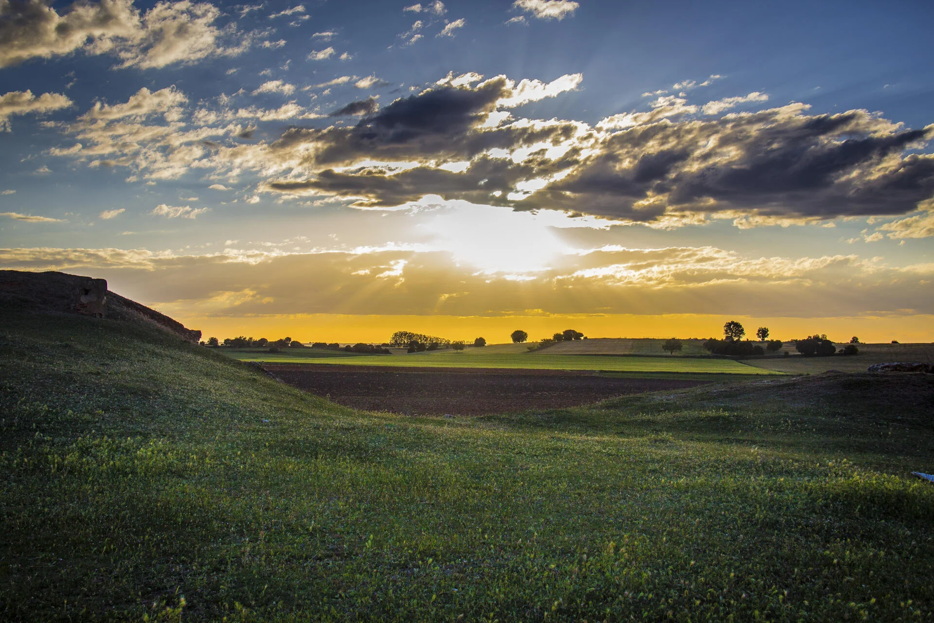 Campo verde