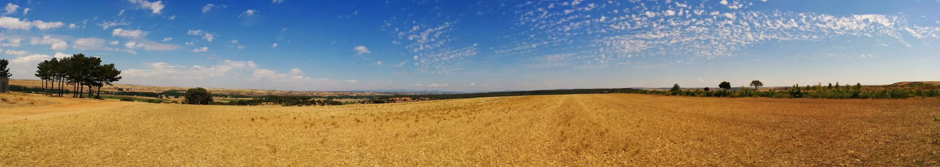 Vista panorámica del campo en Tordómar