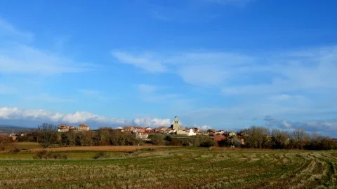 Torrecilla del Monte