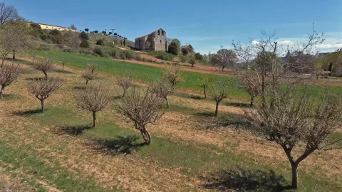 Valdorros