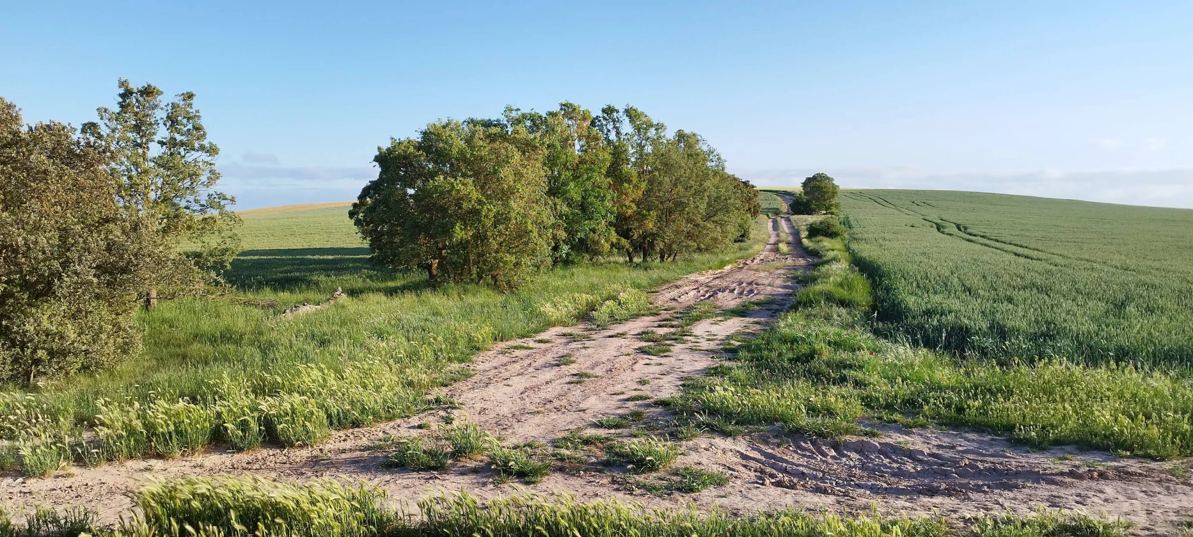 Vereda de los Quemados