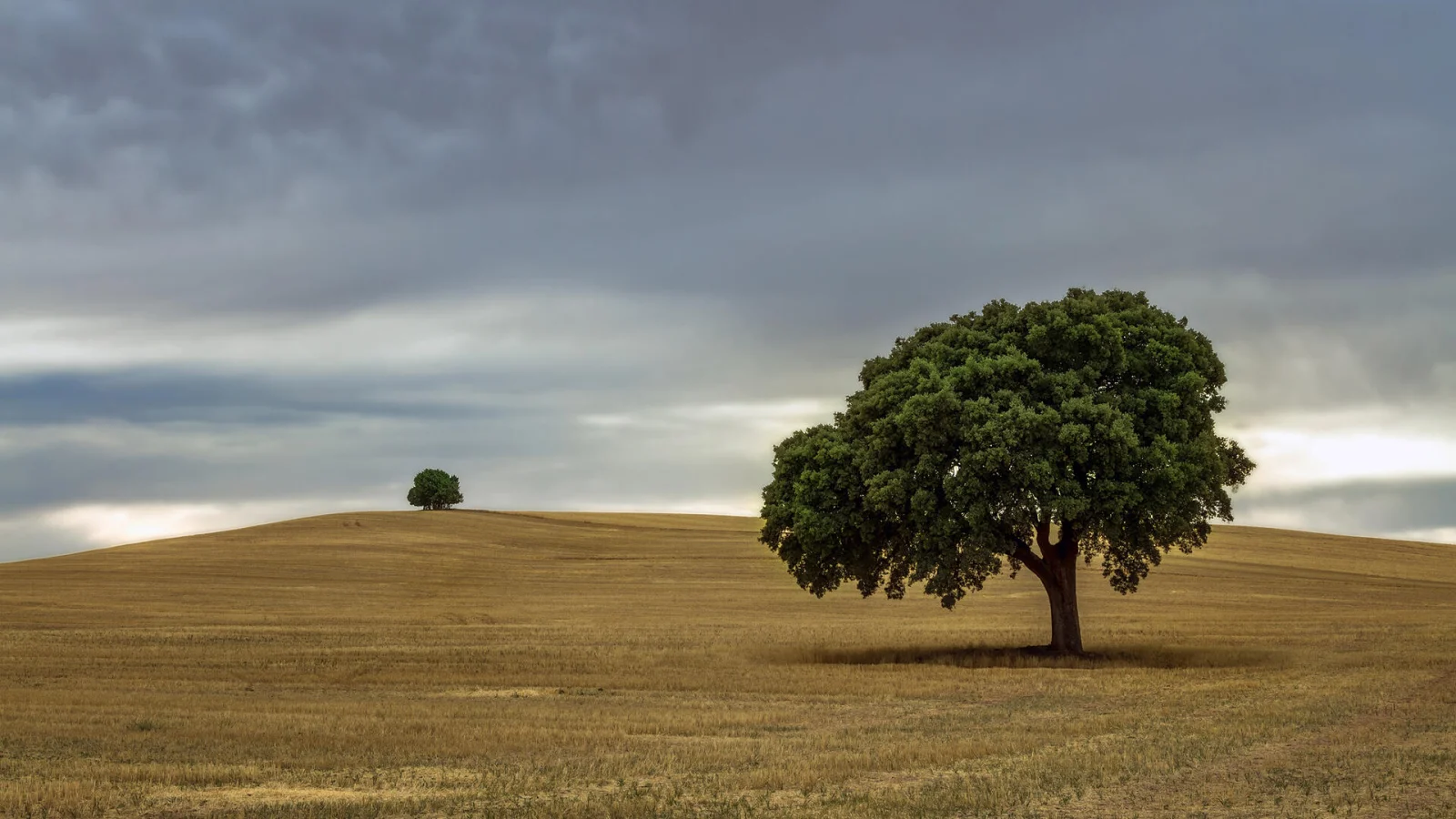Paisaje de Villaverde del Monte