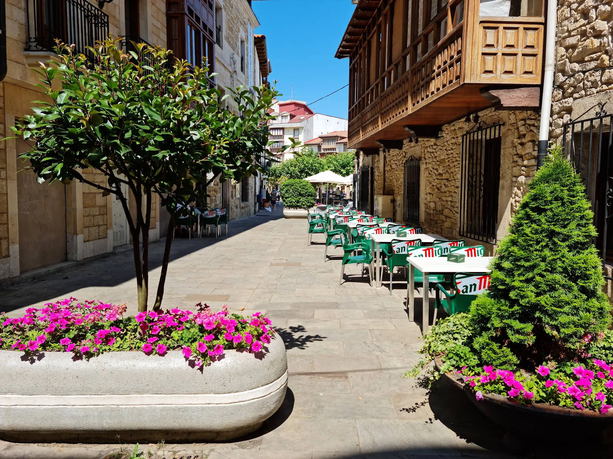 Calle con flores