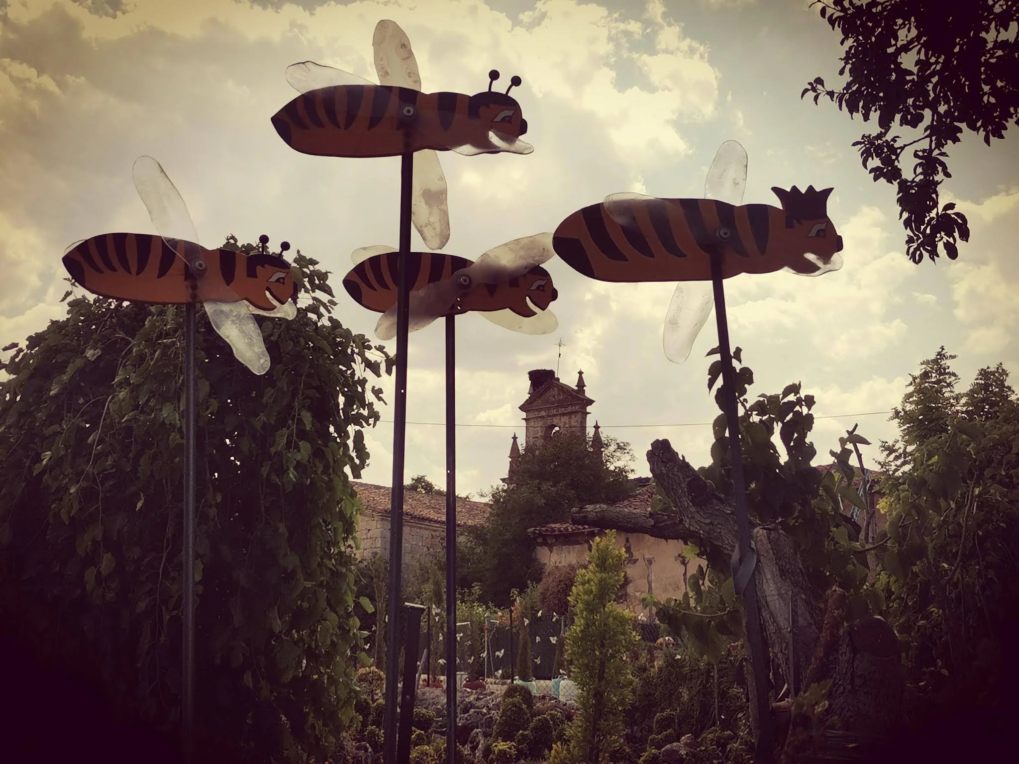Abejas