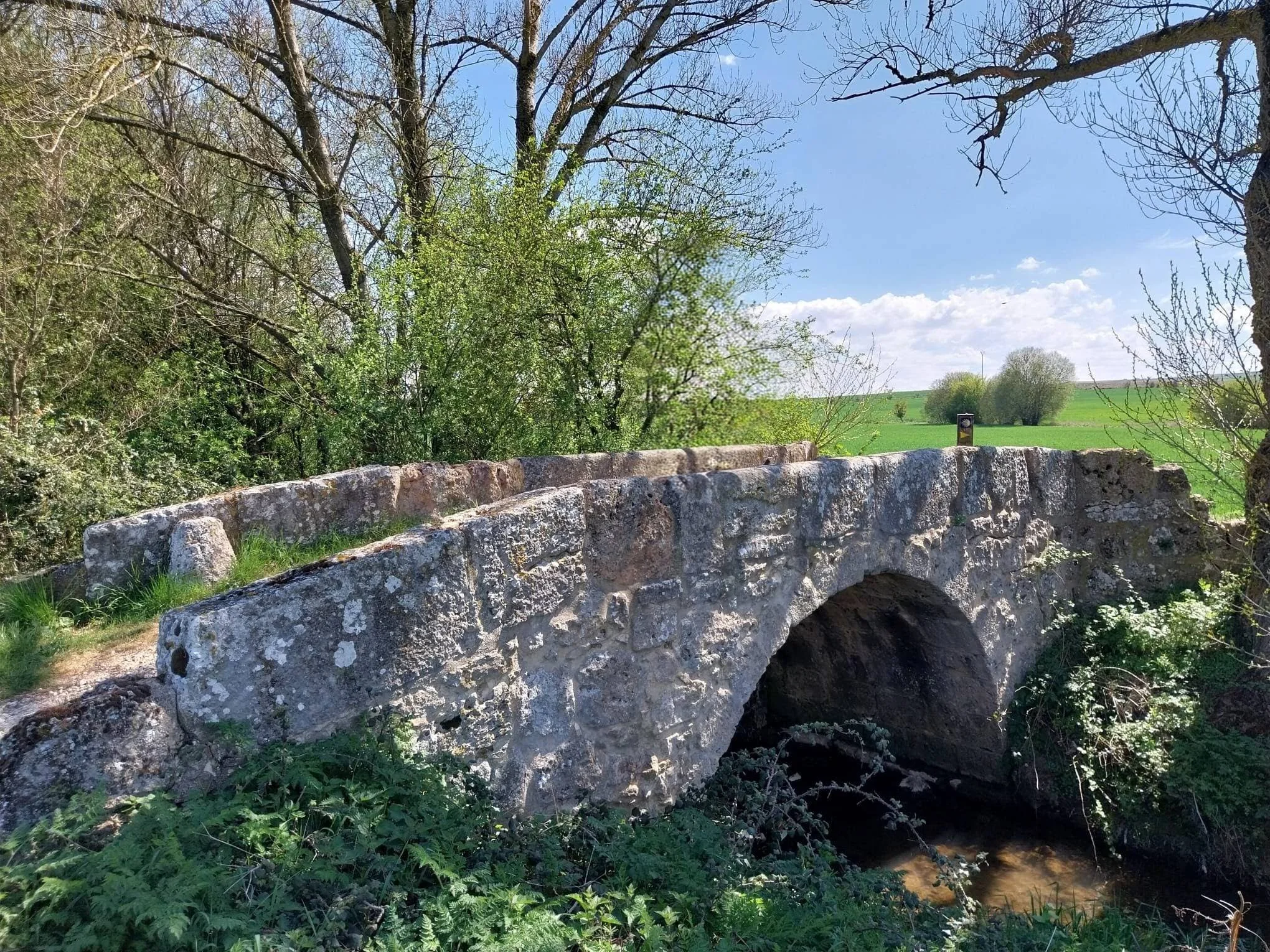 Puente medieval de Agés