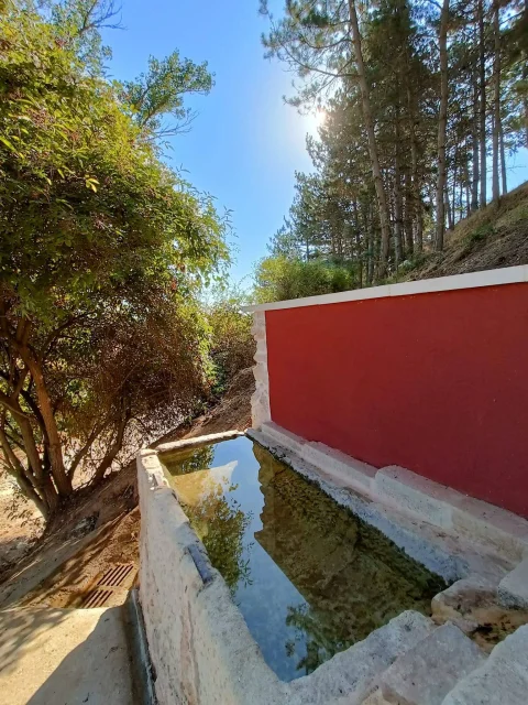 Otra vista