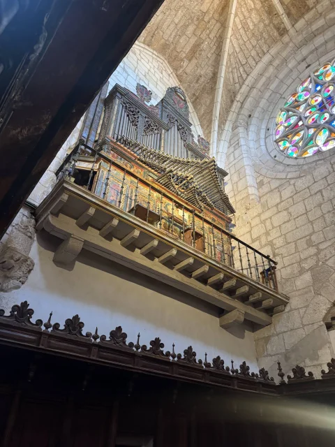 Órgano de la Colegiata
