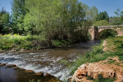 El río y el puente