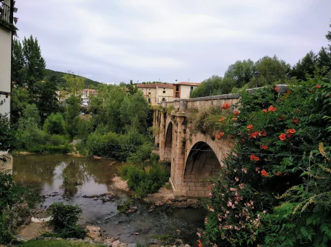 Lateral del puente con flores