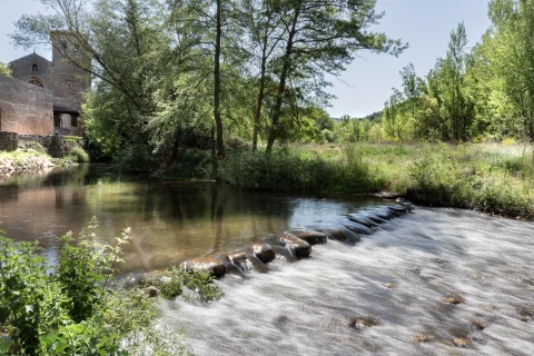 Vista del río Arlanza