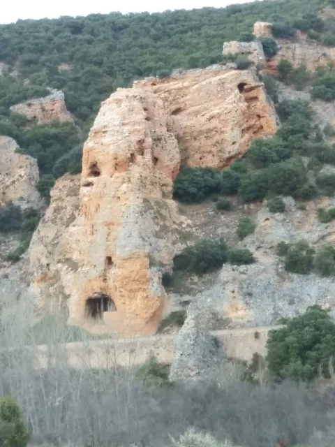 Más vistas