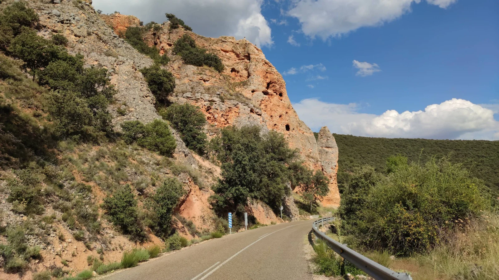 Mirador de Ornitología