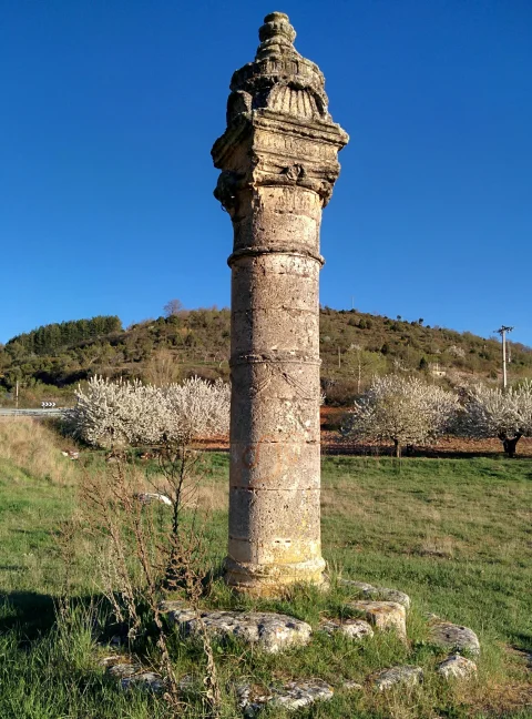 Rollo Jurisdiccional de Covarrubias