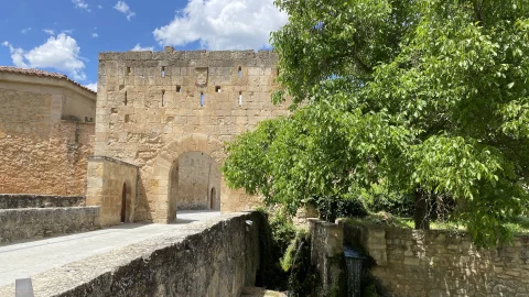 Puerta de la muralla