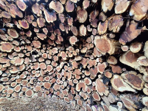 Maderos apilados en el socarrado