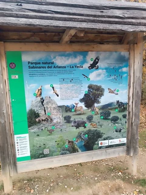 Panel informativo sobre la fauna y flora del Parque Natural Sabinares del Arlanza - La Yecla