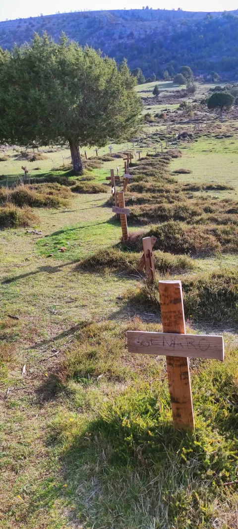 Hilera de cruces de madera sobre la hierba con un árbol y ladera de colina al fondo en el Cementerio de Sad Hill
