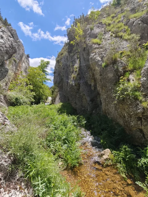 Aguas cristalinas entre rocas