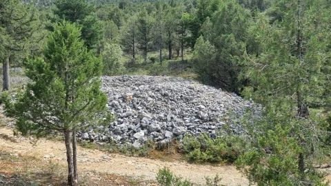 Moreco del Santo