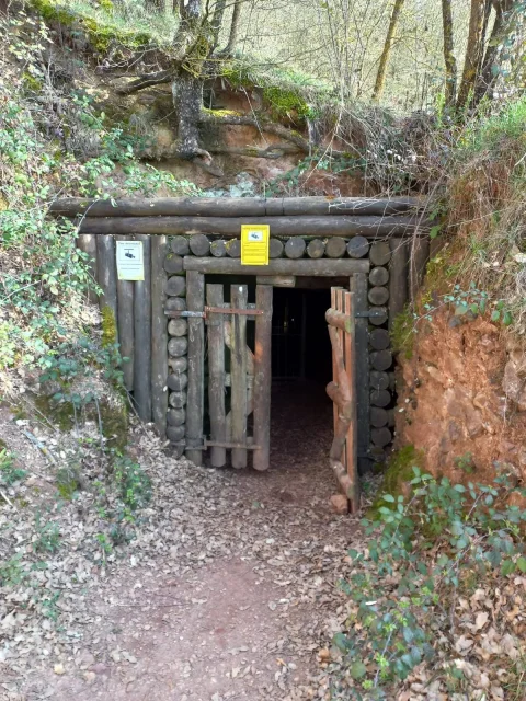 Entrada