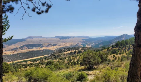Vistas panorámicas del valle y sabinares desde las laderas de Peña Cervera