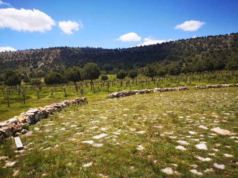 Círculo central empedrado y cientos de cruces de madera en el histórico Cementerio de Sad Hill