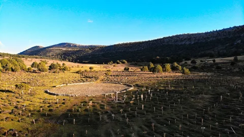 Ruedo Central de Sad Hill