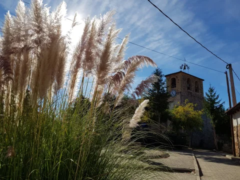 alt="Torre de la iglesia vista a través de plantas plumosas a contraluz con cielo soleado
