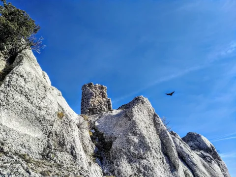 Torreón en ruinas del castillo Carazo sobre peñasco calizo con buitre volando
