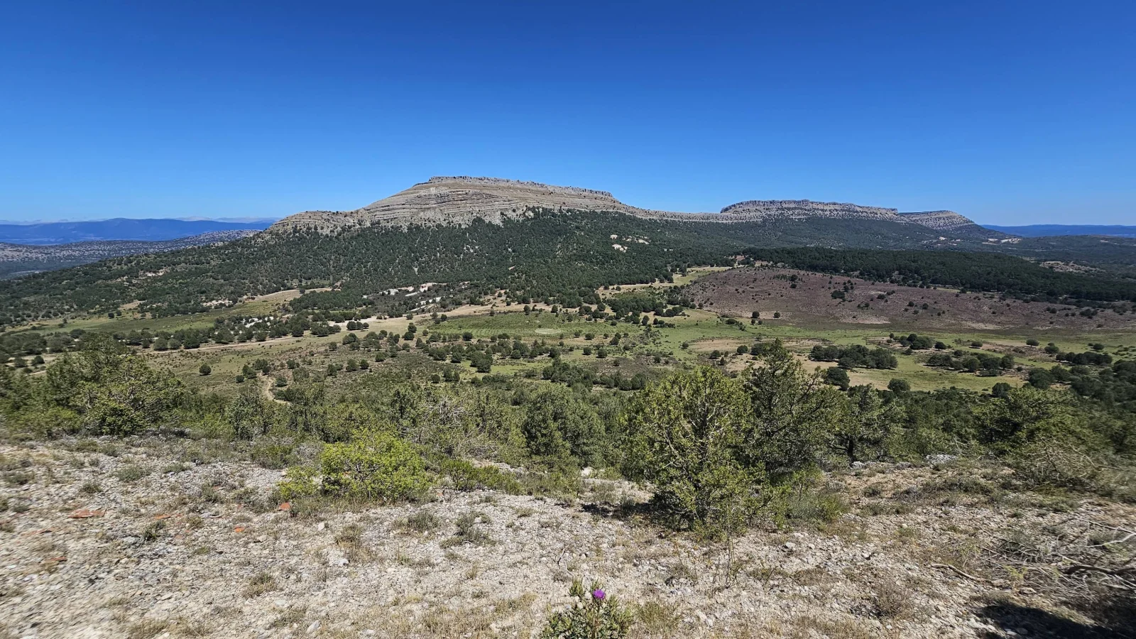 Meseta de San Carlos
