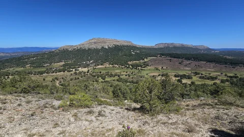 Meseta de San Carlos