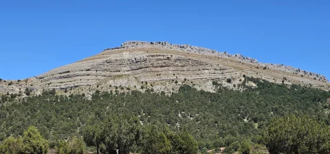 Primer plano de los estratos rocosos de la meseta de San Carlos sobre bosque de sabinas