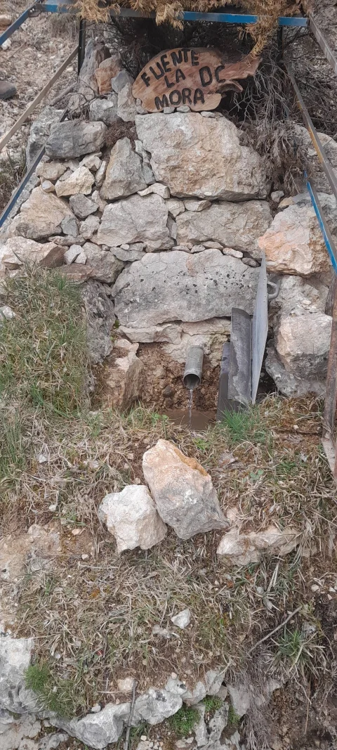 Fuente La Mora