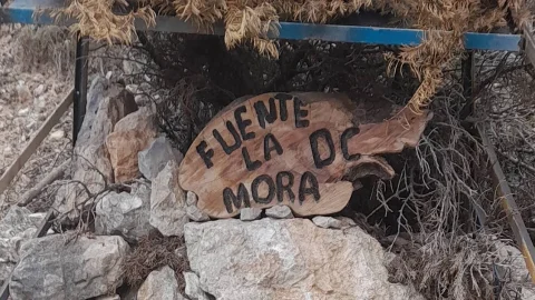 Fuente La Mora